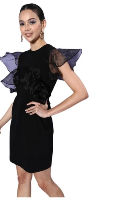 Women's Organza And Polyester Lycra Ruffled Sleeveless Dress (Black)